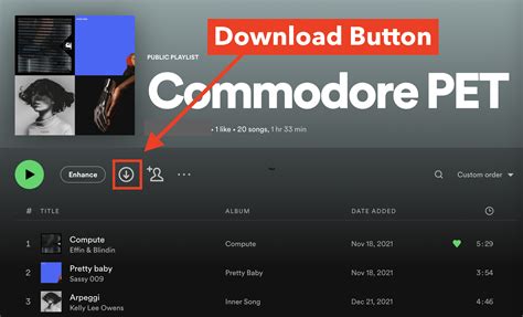 can i download music from spotify for offline use?